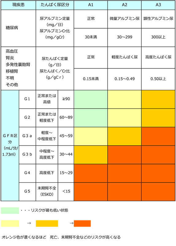 基準 値 egfr